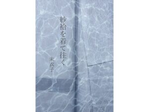 紗袷を着て往く