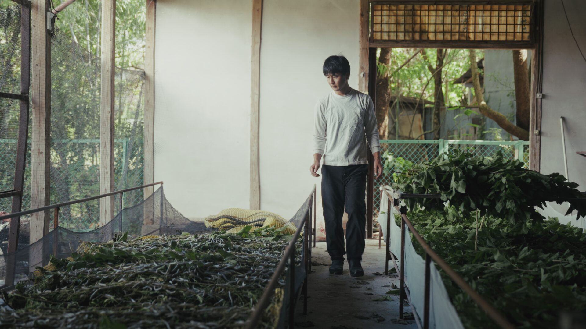 影森養蚕所さん出演のドキュメンタリー映画『森を織る。』上映会が秩父で開催されます【11/3】