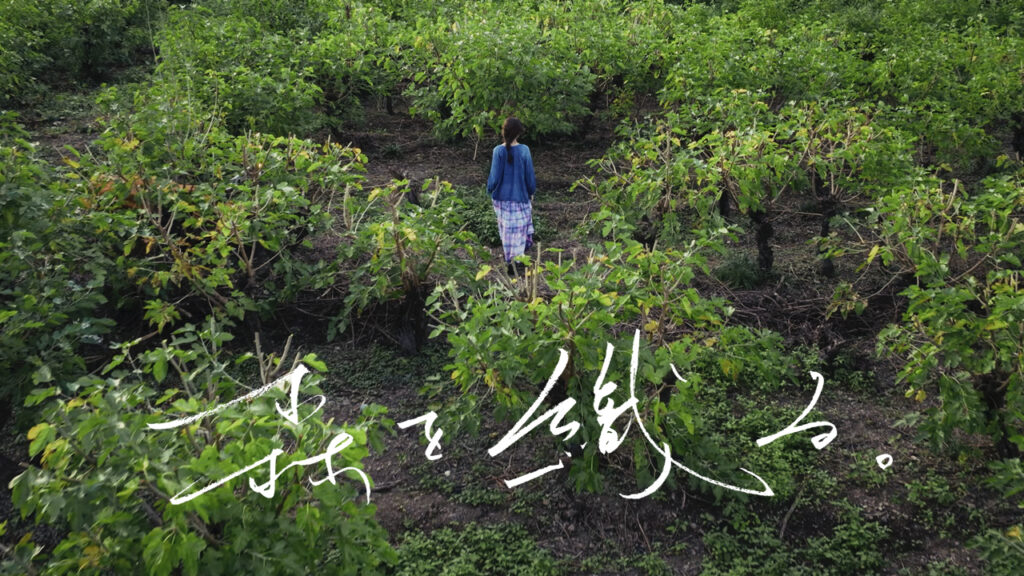 ドキュメンタリー映画『森を織る。』